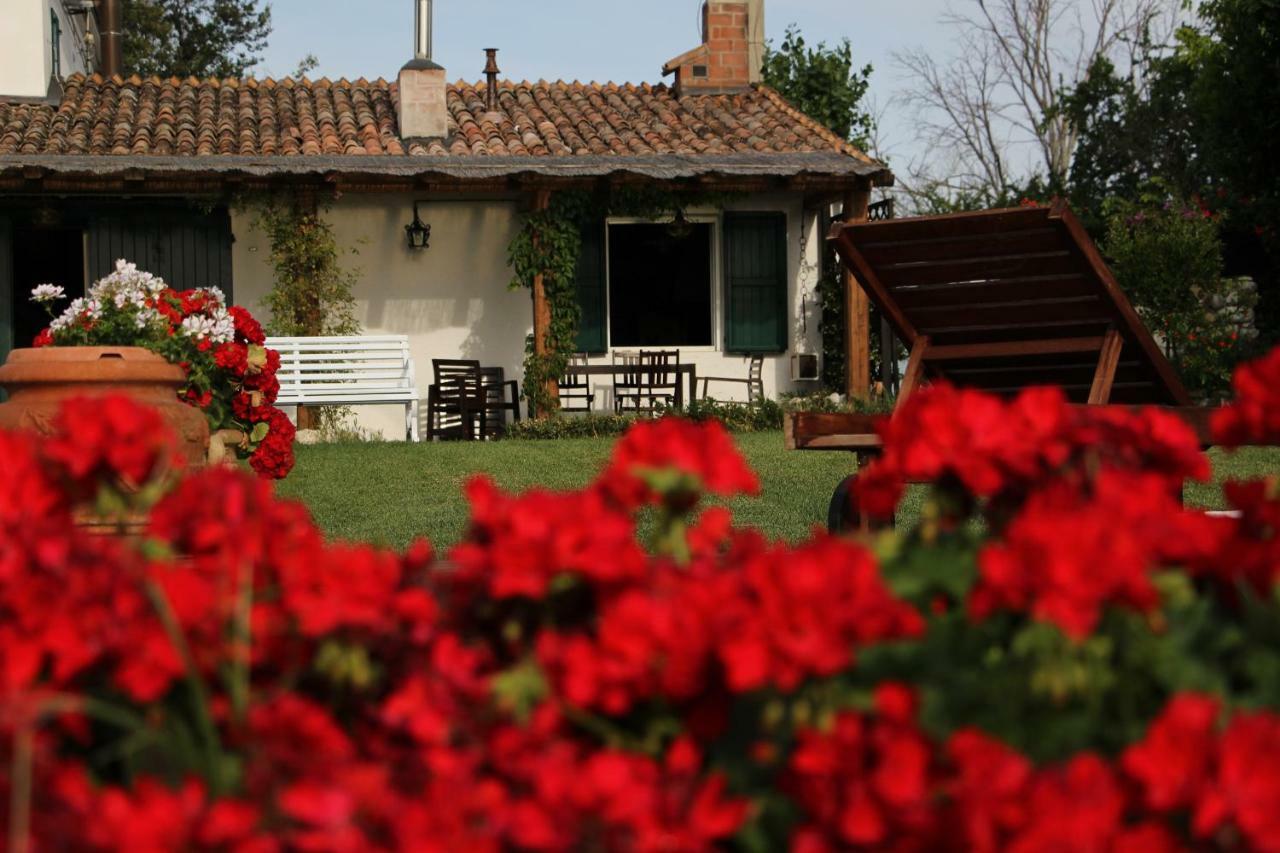 Casa S.Paolo Villa Rimini Exterior photo